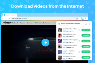 veevee video downloader