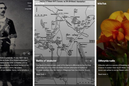 Wikipedia for TikTok